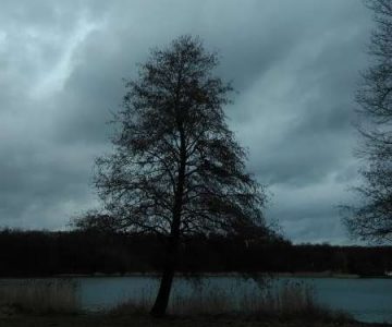 IMG_20160221_105628 IMG_20160221_105628