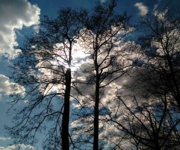 IMG_20170324_123503 IMG_20170324_123503