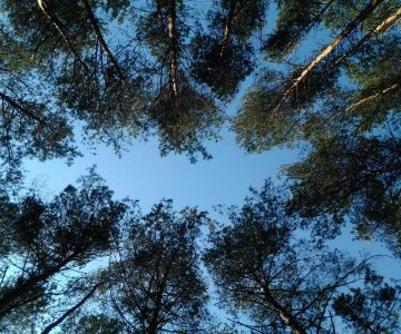 IMG_20170401_141017 IMG_20170401_141017