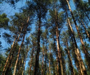 IMG_20170401_141023 IMG_20170401_141023