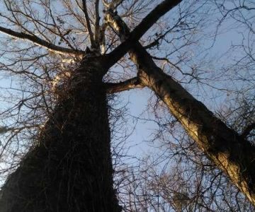 IMG_20180220_110054 IMG_20180220_110054