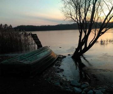 IMG_20180220_170306 IMG_20180220_170306