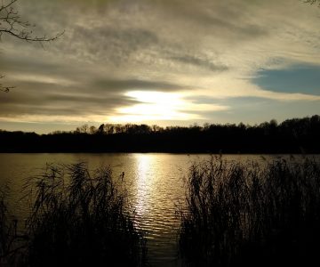 IMG_20161129_135339 IMG_20161129_135339