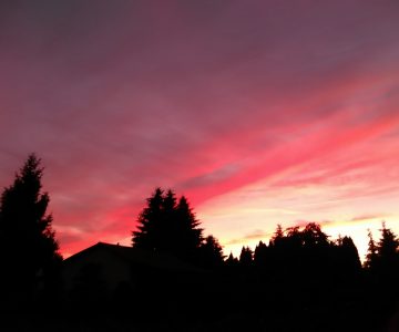 IMG_20170620_214227 IMG_20170620_214227