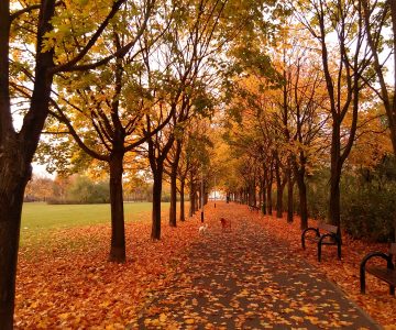 IMG_20171019_170158 IMG_20171019_170158