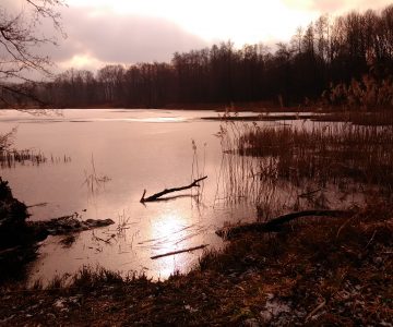 IMG_20180206_120200 IMG_20180206_120200