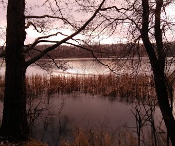 IMG_20180206_121845 IMG_20180206_121845