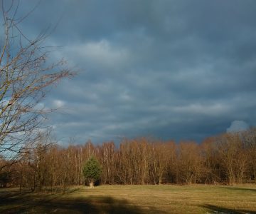 IMG_20180212_151906 IMG_20180212_151906