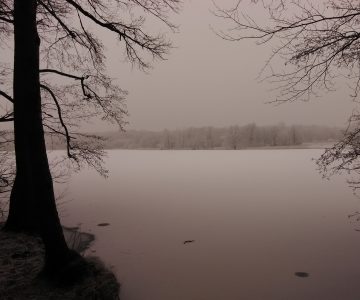 IMG_20180214_120933 IMG_20180214_120933