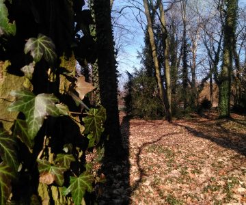 IMG_20180220_111211 IMG_20180220_111211