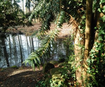 IMG_20180220_121716 IMG_20180220_121716