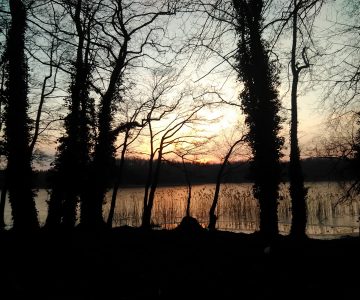 IMG_20180220_170831 IMG_20180220_170831