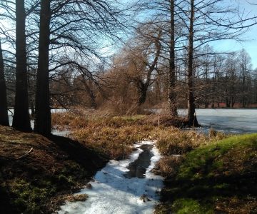 IMG_20180319_132045 IMG_20180319_132045