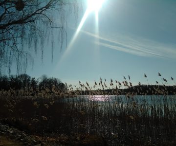 IMG_20180319_133102 IMG_20180319_133102