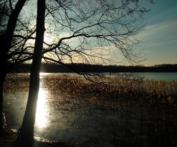 IMG_20180319_164358 IMG_20180319_164358